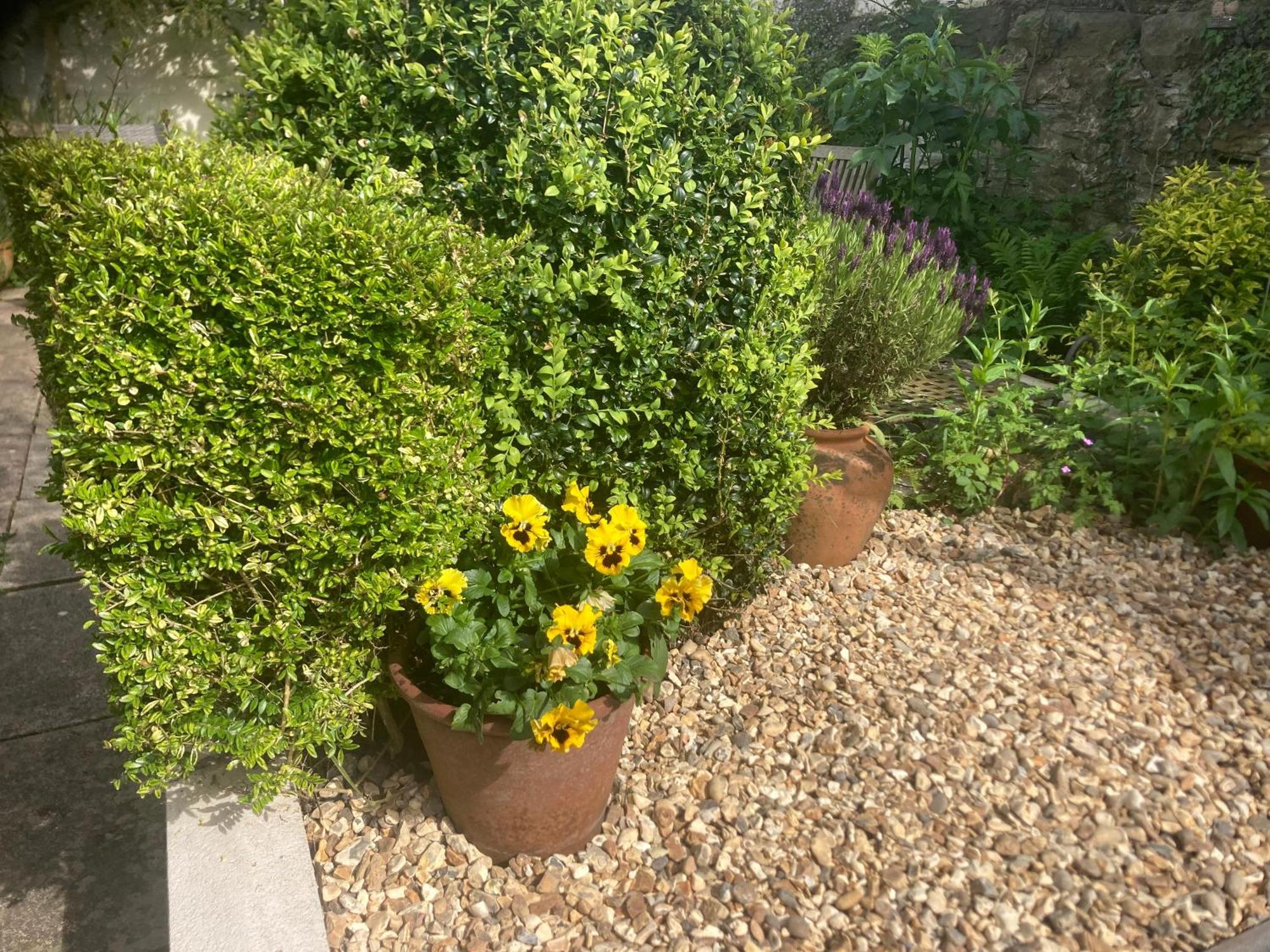 Bryntirion Farmhouse Apartment With Hot Tub Llanfair Caereinion エクステリア 写真